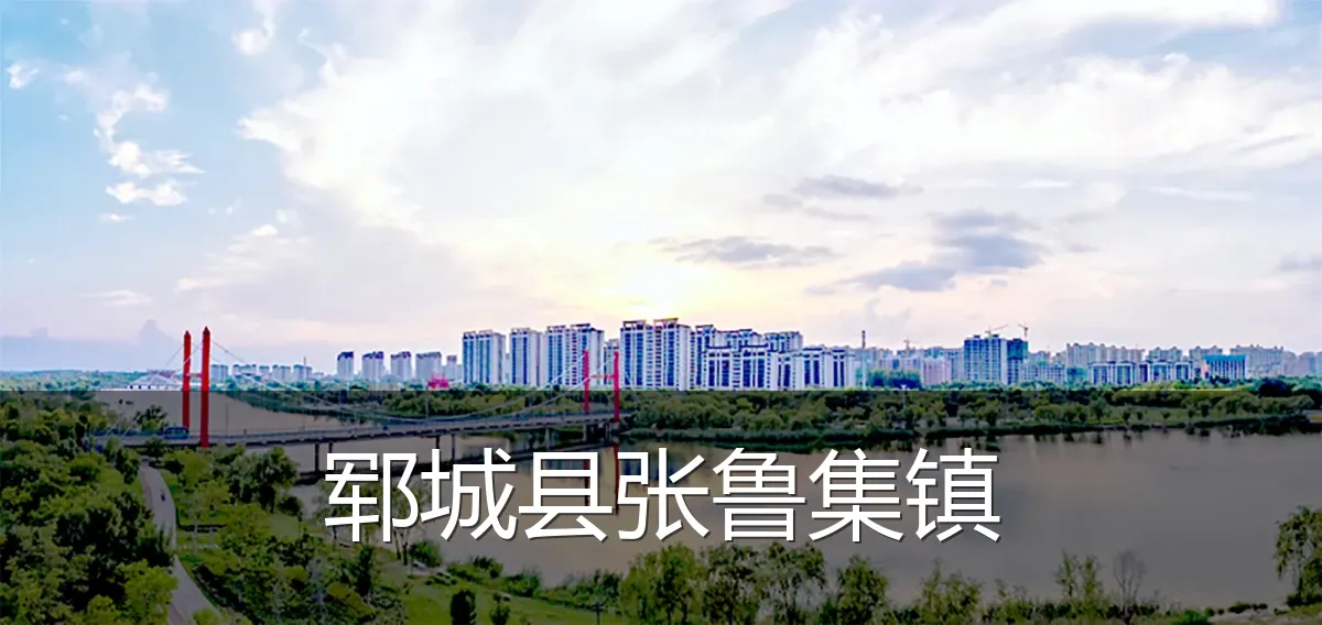 郓城县张鲁集镇