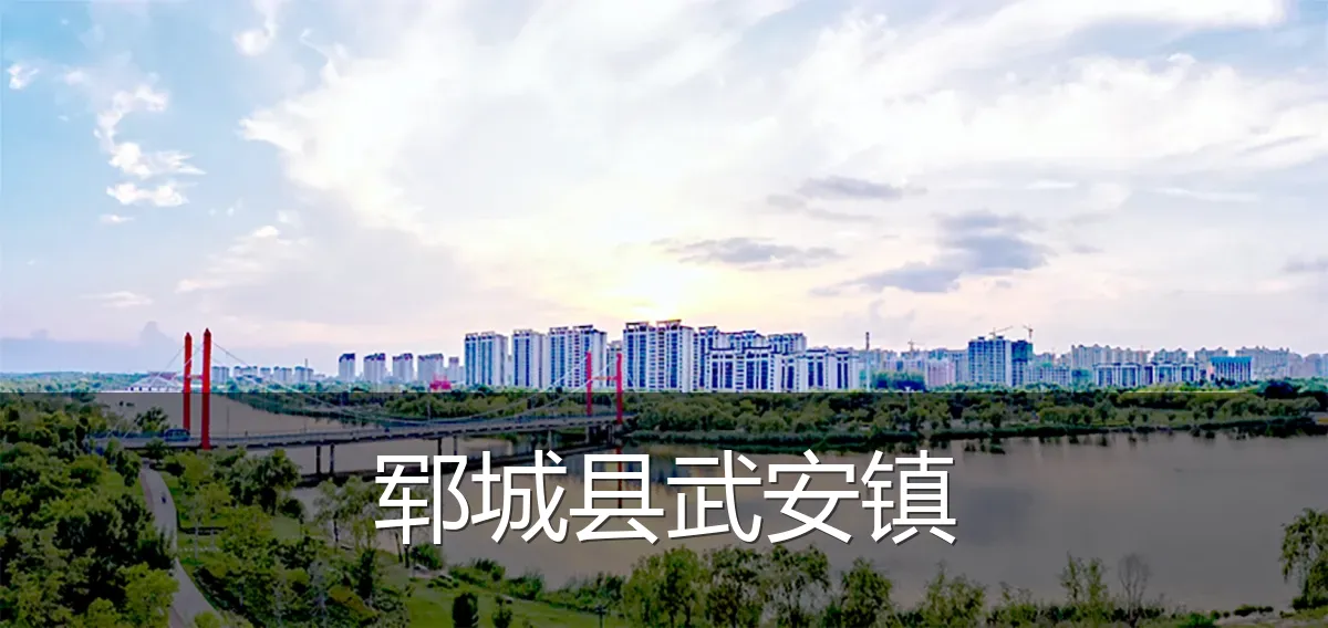 郓城县武安镇