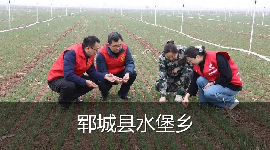 郓城县水堡乡